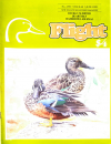 Issue 60