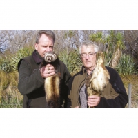 Predator and prey: Steve Playle, pest animal officer with Greater Wellington Regional Council (left), with a ferret trapped at Matthews Lagoon and DU president and wetland expert John Cheyne, with a stuffed Australasian bittern. Photo: GWRC.