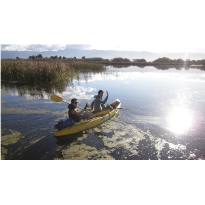 Research students: Aprille Gillon and Cheng Shi find there is more to wetland research than just checking vegetation.