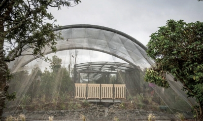 Free flight aviary at Pukaha Mt Bruce