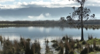 For those of you who have not visited Wario wetlands in southern Wairarapa, just look at the amazing scenery in store for you.