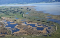 Birds eye: From the left, Mathews Lagoon, Boggy pond, Wairio next to Lake Wairarapa. Years ago all three wetlands were connected 