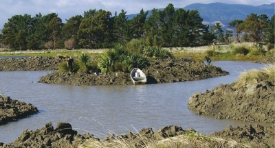 Restoration: Work underway last year at Wairio wetland Wairarapa. 