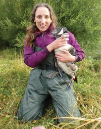 Tagging Canada geese is one of the activities that Emma is involved in.