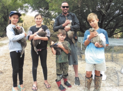 Duck banding volunteers in Wellsford.