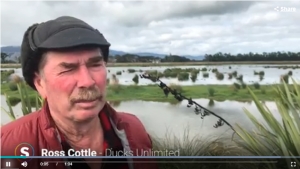 Ross Cottle being interviewed at the Wairio Wetland in the Wairarapa
