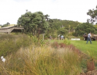 Weeding gang: Volunteers busy around the Bird Hide at Tawharanui Regional Park.